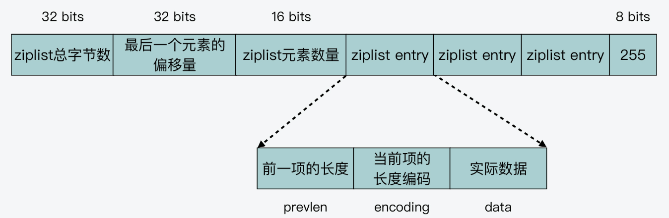 image-20250313131315802